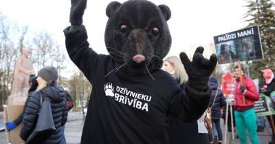 Шубы не в моде. Сейм рассмотрит предложение запретить разведение пушных зверей в Латвии