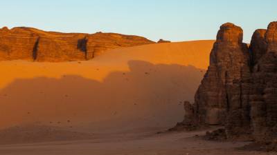 Археологи из института Макса Планка установили возраст каменных верблюдов в Северной Аравии