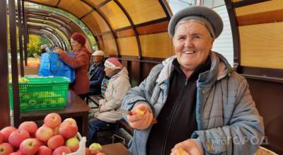 Новочебоксарские пенсионеры рассказали сколько зарабатывают на продаже овощей и фруктов: "Будешь дома сидеть - ноги протянешь"