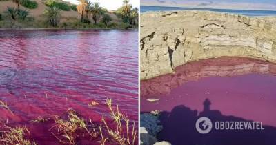 Озеро в Иордании внезапно окрасилось в кроваво-красный цвет – причина, фото