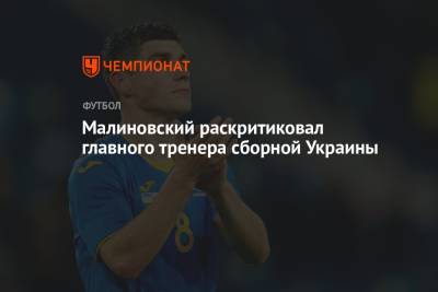 Малиновский раскритиковал главного тренера сборной Украины