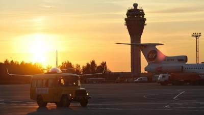 В Пулково опровергли данные о лидерстве аэропорта по ЧП с птицами