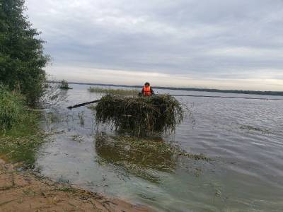 Более 60 тысяч квадратных метров водной растительности выкосили в Сестрорецком Разливе