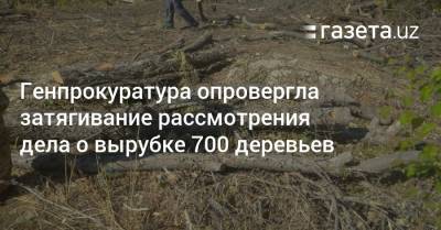 Генпрокуратура опровергла затягивание рассмотрения дела о вырубке 700 деревьев