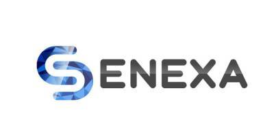 Перспективы развития компании Senexa на 2022 год: серьезное стратегическое планирование