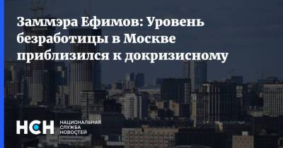 Заммэра Ефимов: Уровень безработицы в Москве приблизился к докризисному