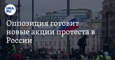 Владимир Кашин - Оппозиция готовит новые акции протеста в России - ura.news - Москва - Россия