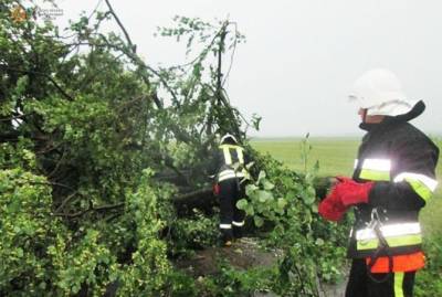 Непогода обрушилась на две области Украины: обесточен 71 населенный пункт