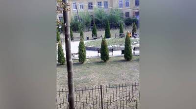 Вандалы разворотили скамейки на Аллее Героев под Воронежем