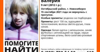 В Новосибирске пропала 9-летняя школьница