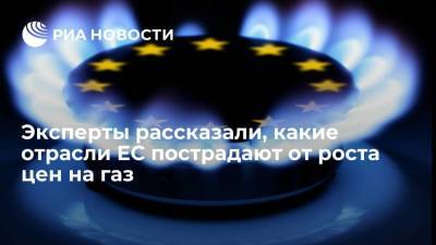 Эксперты: рост цен на газ в Евросоюзе затронет химическую промышленность