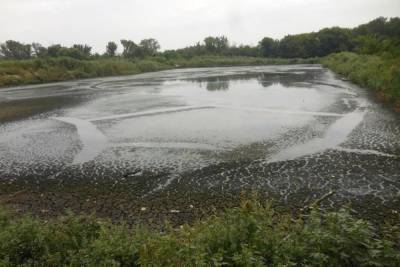 Очистные сооружения в Шахтах оштрафовали за загрязнение реки Грушевка