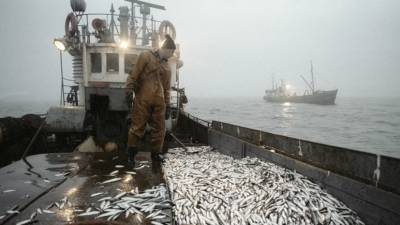В Литве обеспокоены рыбным промыслом России в Балтийском море