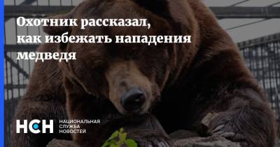 Охотник рассказал, как избежать нападения медведя - nsn.fm - Россия - Нападение