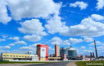 Сахарные заводы в Беларуси простаивают?