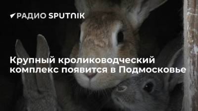 В Подмосковье откроют крупное предприятие по выведению кроликов