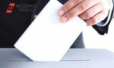 Стали известны результаты предварительной явки в Приволжье на второй день голосования
