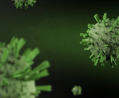 В России создали тест для выявления коронавируса в любом биоматериале