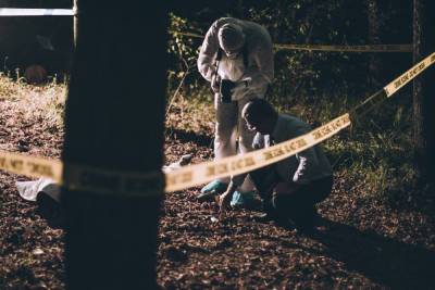 В лесу у Кайкино найдены останки мужчины с полотенцем и гелем для бритья