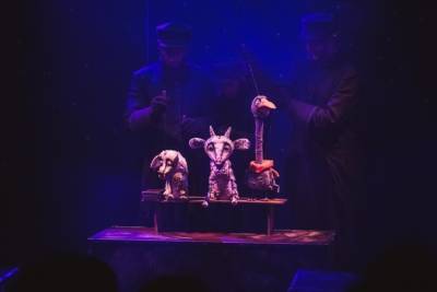 В Астраханском театре кукол покажут лучший спектакль для подростков