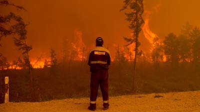 МЧС сообщило о 75 природных пожарах в девяти регионах страны