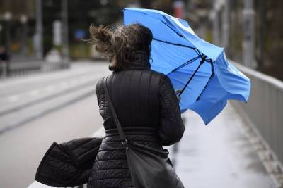 Непогода в Смоленской области усиливается. Объявлен желтый уровень опасности