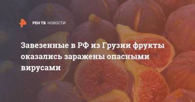 Завезенные в РФ из Грузии фрукты оказались заражены опасными вирусами