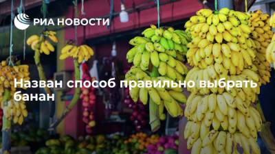 Sohu: главными критериями при выборе банана является цвет и эластичность кожуры