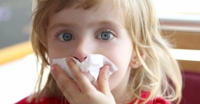 Детей с симптомами простуды просят не приводить в школы