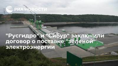 "Русгидро" и "Сибур" договорились о поставке альтернативной электроэнергии на Амурский ГХК