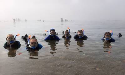Южно-сахалинских детей приглашают понаблюдать за морскими обитателями