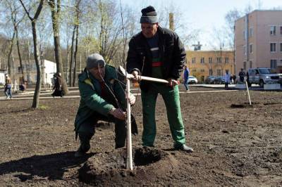 Петербуржцы могут поучаствовать в осенней посадке деревьев и кустарников