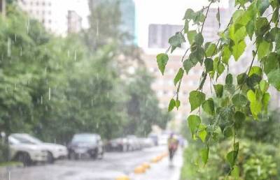 В Петербурге плюс пятнадцать, возможны дожди