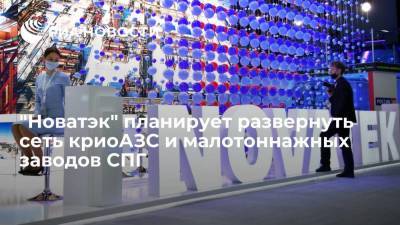 "Новатэк" планирует развернуть в России сеть криоАЗС и малотоннажных заводов СПГ