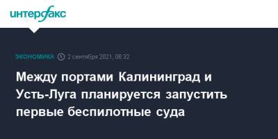 Между портами Калининград и Усть-Луга планируется запустить первые беспилотные суда