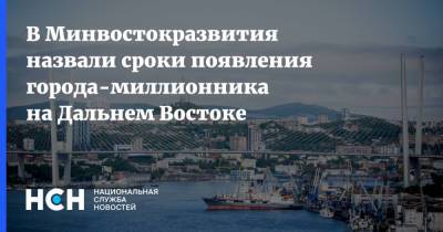 В Минвостокразвития назвали сроки появления города-миллионника на Дальнем Востоке