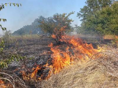 В Ульяновской области тушили три лесных пожара и сухую траву