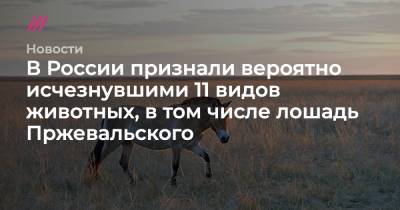 В России признали вероятно исчезнувшими 11 видов животных, в том числе лошадь Пржевальского