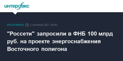 "Россети" запросили в ФНБ 100 млрд руб. на проекте энергоснабжения Восточного полигона