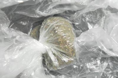 Брянские таможенники нашли марихуану в багажнике мужчины