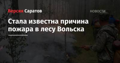 Стала известна причина пожара в лесу Вольска