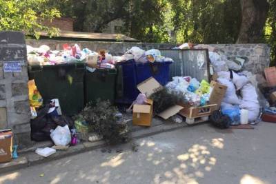 Перевозчика мусора в Новосибирске требуют признать банкротом