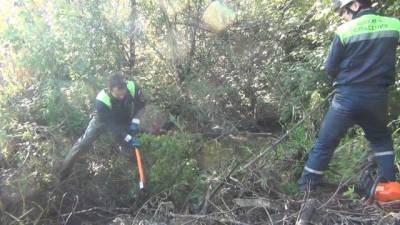 В Кемерове спасатели очистили ручей от бобровых плотин и затора