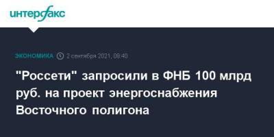"Россети" запросили в ФНБ 100 млрд руб. на проект энергоснабжения Восточного полигона