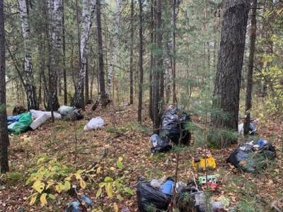 Экологическая акция «Чистый гриб» стартовала в лесах Новосибирской области