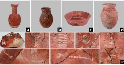 Пенное пиво из неолита. В Китае обнаружили забродивший напиток из риса возрастом 9 тысяч лет (фото)