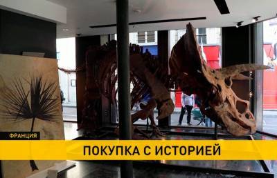 Скелет крупнейшего в мире трицератопса выставлен на аукцион