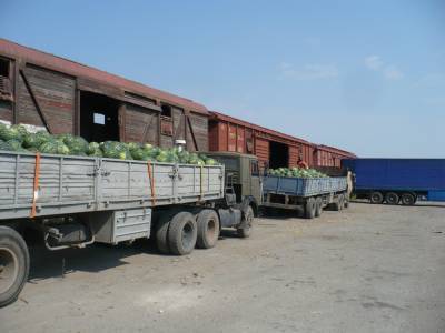 Первые вагоны с арбузами из Астраханской области отправились в Иркутск, Красноярск и Алтайский край