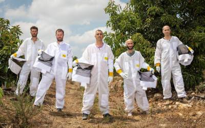 Израильские роботизированные ульи спасут глобальную популяцию пчел