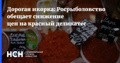 Дорогая икорка: Росрыболовство обещает снижение цен на красный деликатес